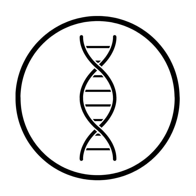 Lysosomal Storage Disorders Report