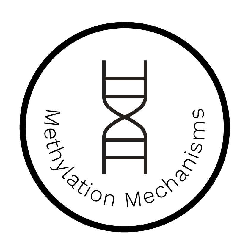 Methylation Mechanisms Report - Dante Labs