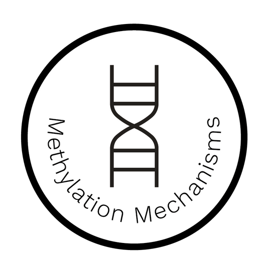 Methylation Mechanisms Report - Dante Labs