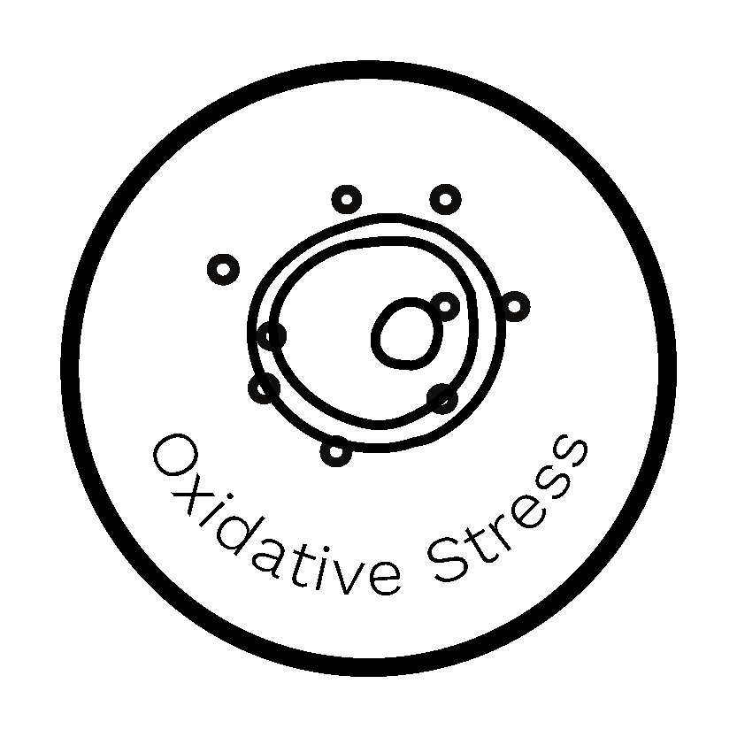 Oxidative Stress Report - Dante Labs