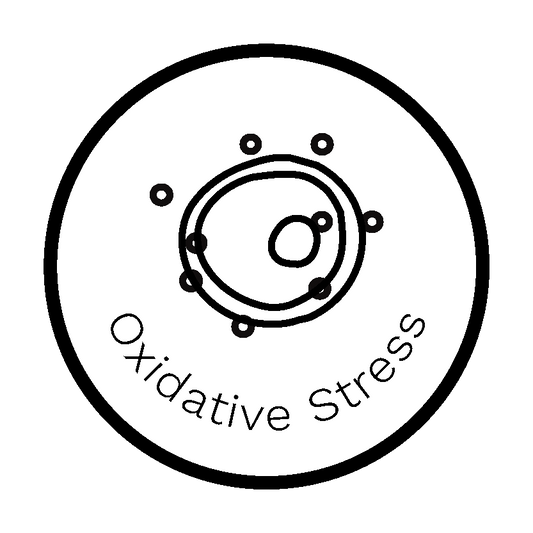 Oxidative Stress Report - Dante Labs